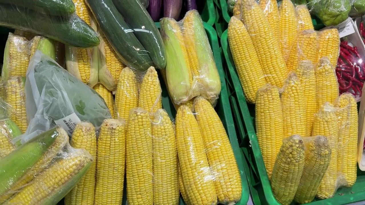 Fresh Corn on the Cob Displayed in a Supermarket Produce Section
