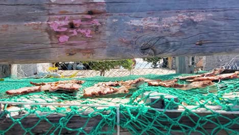 small sun dried fish laid out on a fishing mesh and wooden rack, fisherman house, zoom out