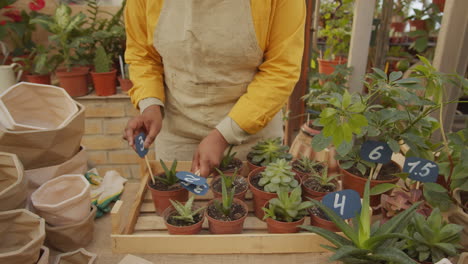 woman labeling plants in flower nursery