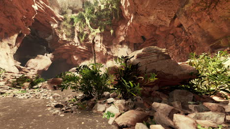 vista desde la cueva a la luz