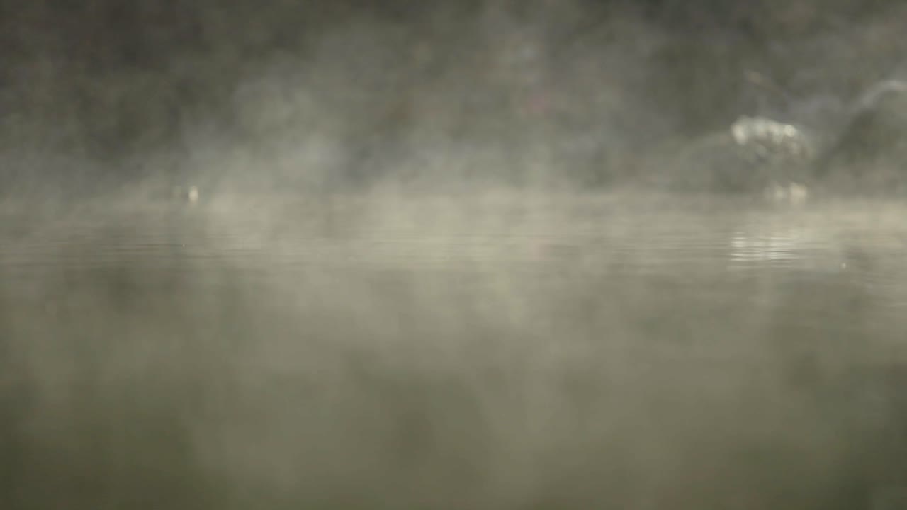 아이다호 핫 스프링 워터에서 증기 라인 패턴