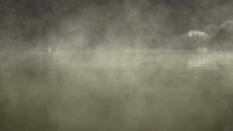 steam line patterns from idaho hot spring waters