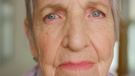 senior woman, retirement face portrait