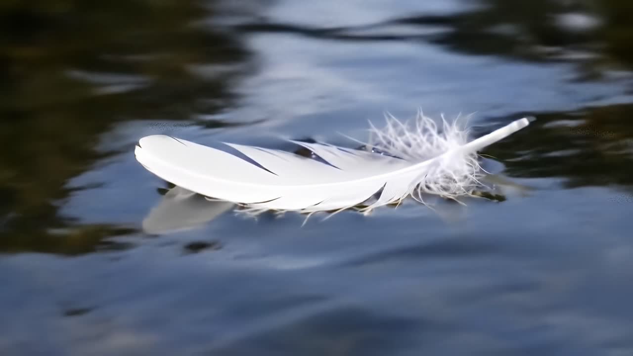 A Serene Feather Floating Gently on the Calm Water Surface, Capturing the Essence of Tranquility and Nature's Beauty in a Moment of Stillness