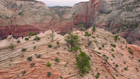 Imágenes-Aéreas-De-4k-De-ángeles-Aterrizando-En-El-Parque-Nacional-Zion,-Utah,-Estados-Unidos