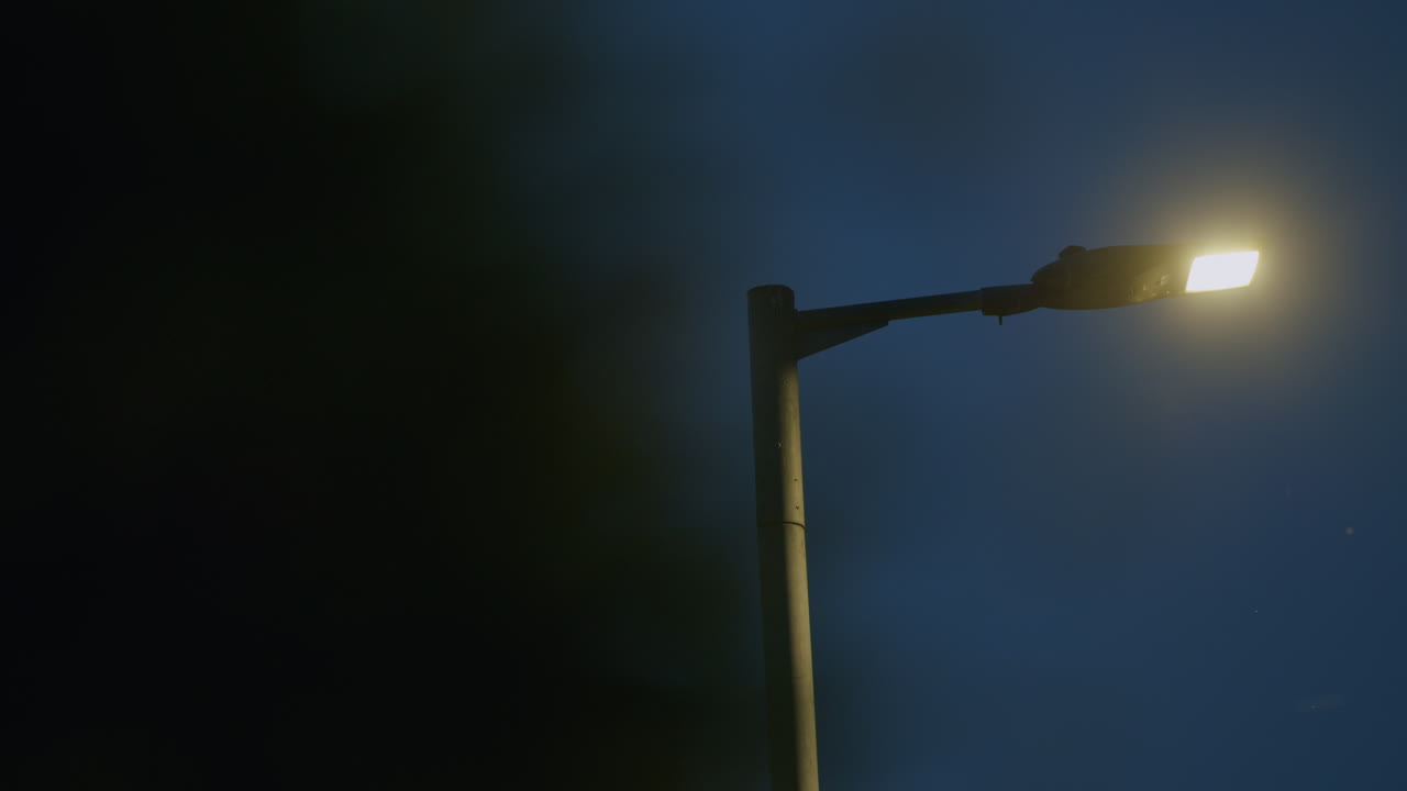 lámpara de calle en la luz de la tarde baja con arbusto borroso en primer plano