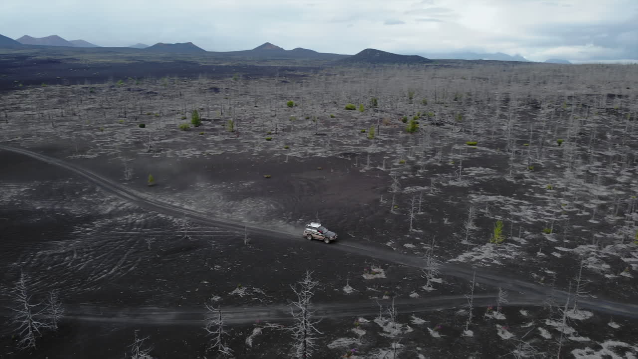 Off-Roading in a Dead Forest near a Volcano