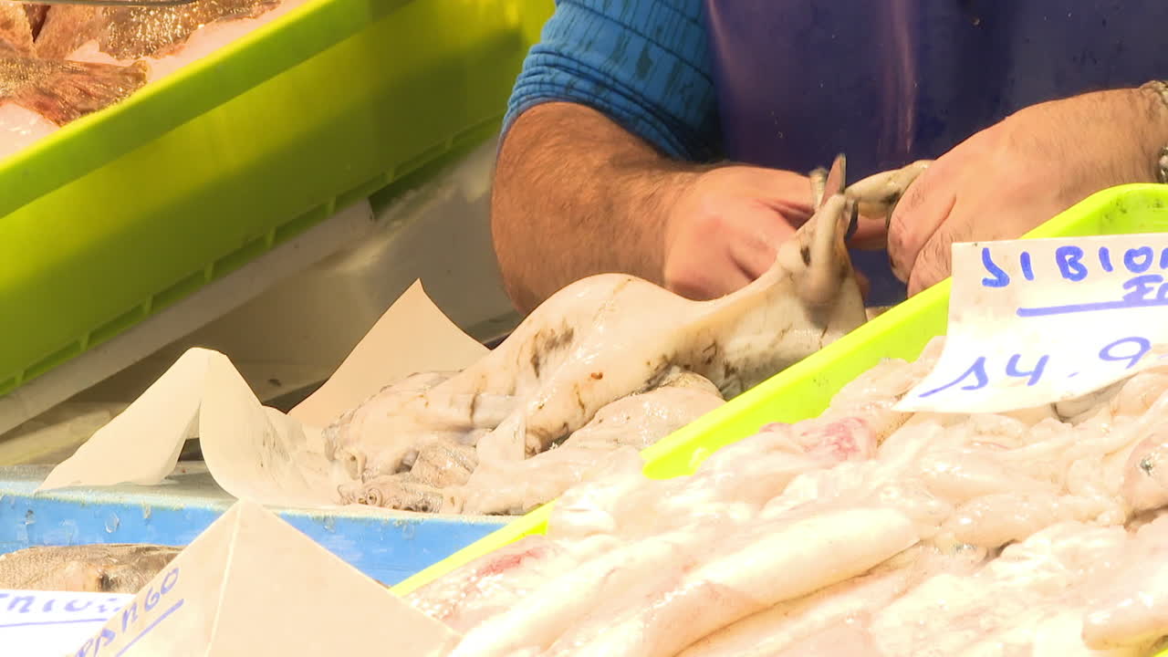 Fresh Octopus and Squid at a Fish Market