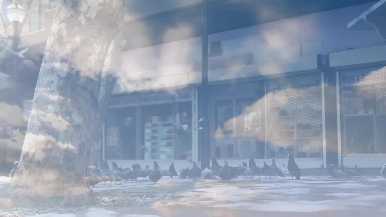 움직이는 구름 과 새 들 위 에 있는 비어 있는 스트레트 의 애니메이션