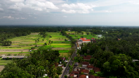 rice fields in balinese countryside, indonesia