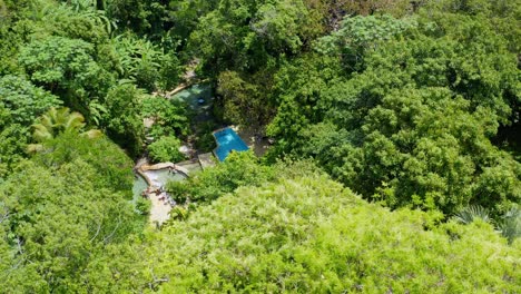 oasis of natural pools in caribbean jungle