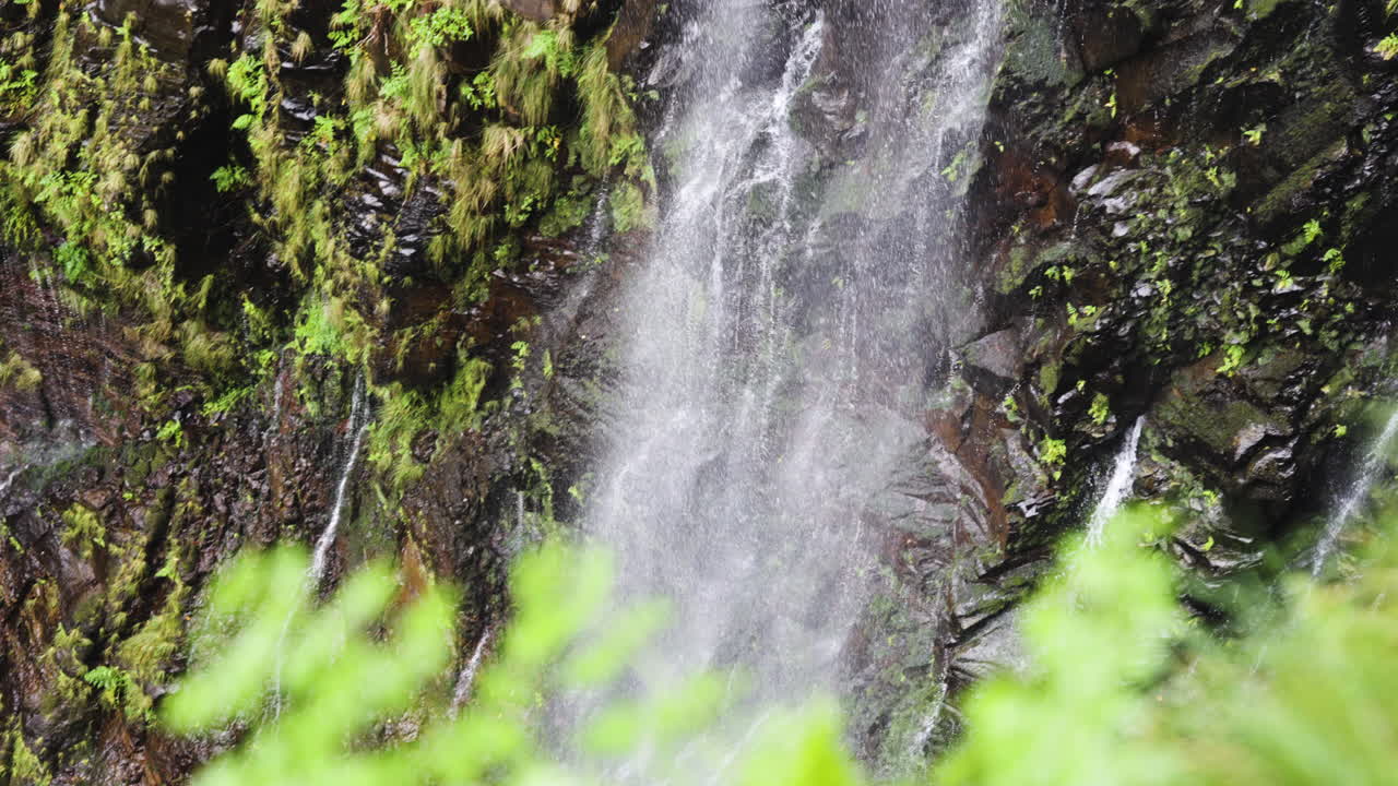 panorámica de la cascada de risco en una vegetación magnífica