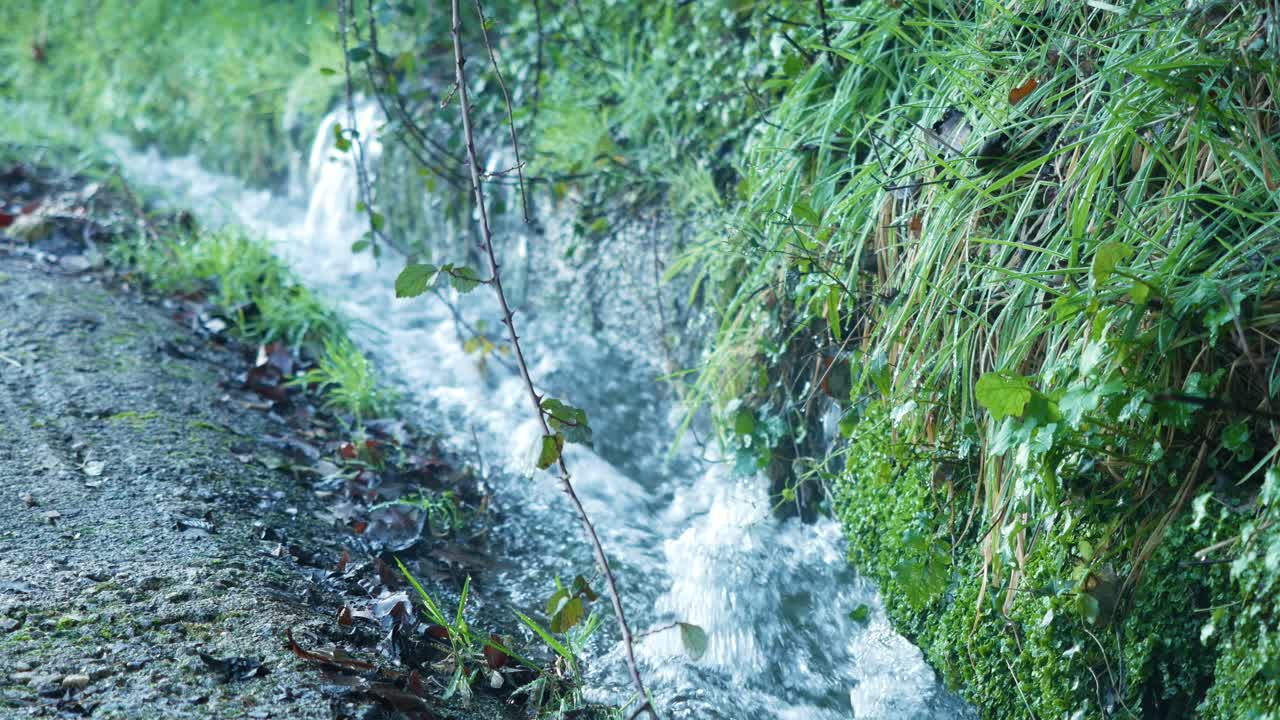 작은 물줄기가 푸른 잔디 사이로 흐른다