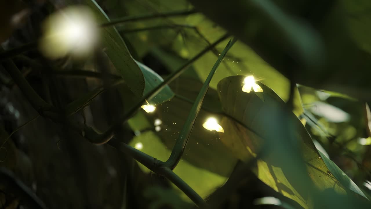 Fairies Dancing Under Jungle Leaves