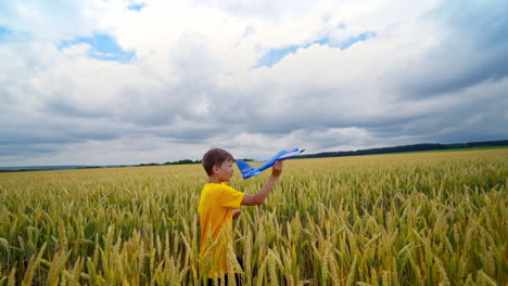 little boy on agriculture landscape. child in yellow t-shirt walking in the field with a toy plane in his hand imitating flight. kid among agricultural plants in summer.