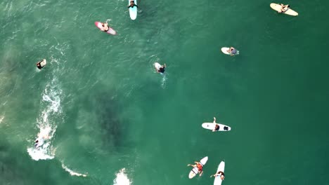 aerial top down of surfers in the water waiting for waves