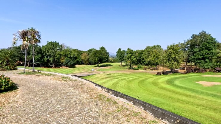 Campo da golf verde lussureggiante con palme