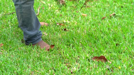 close up of latin man in garden