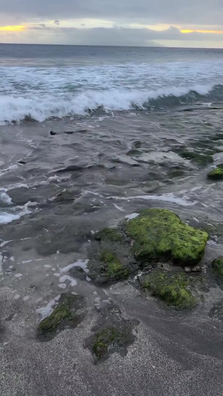 Onde dell'oceano che lambiscono delicatamente rocce muschiose al tramonto.