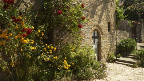 colourful climbing roses decorate stone walls in charming urban street pan shot