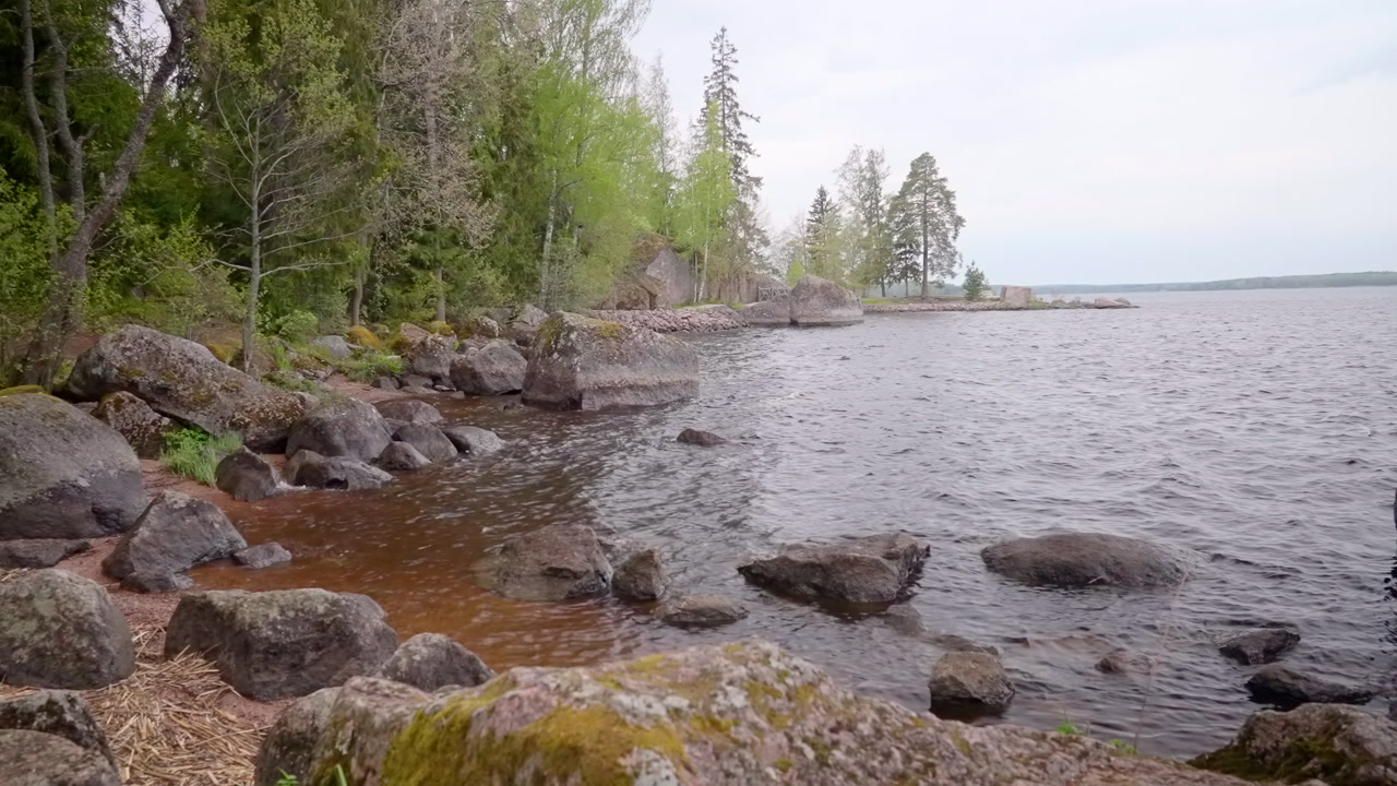Rocky Shoreline Framed By Tall Trees, Jagged Boulders And Pebblestrewn Bank Meet Cool Rippling Water. Creative