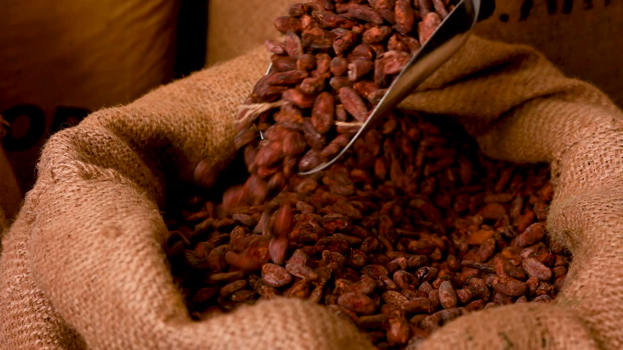 granos de cacao en una bolsa de tela