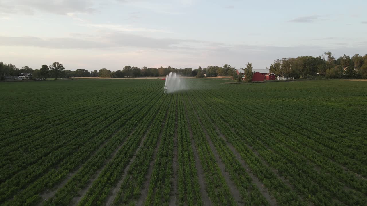 imágenes de drones de rociadores de riego de campo rociando agua al atardecer