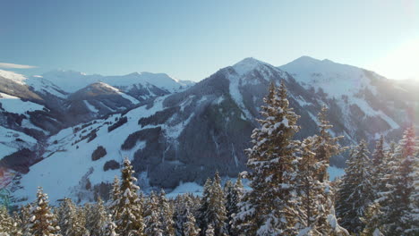 flying thru snow covered trees towards schattberg-ost mountain in austria