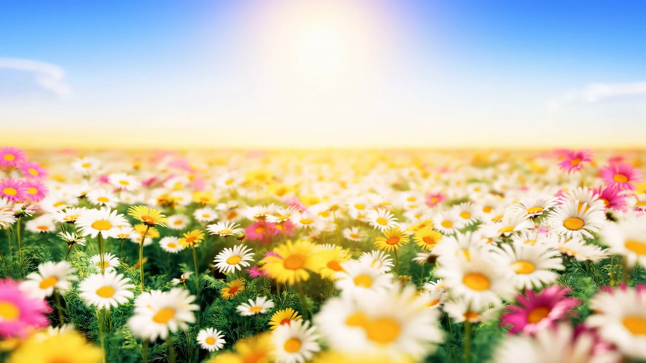 前景には、白、黄、ピンクのデイジーのような花が咲き乱れる密生した野花の牧草地が広がっています。柔らかなぼかし、緑の茎、明るい空の輝き、そして穏やかな自然の色合いが、花と牧草地の風景を彩っています。