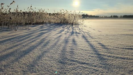 misty winter landscape, snowy sea, backlight, rising shot