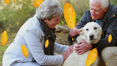 composición digital de hojas de otoño que caen sobre una pareja caucásica mayor jugando con un perro en el parque