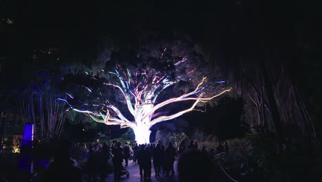 Plano-General-De-Luces-De-Neón-En-Un-árbol-Y-Ramas-Por-La-Noche-En-Los-Jardines-Botánicos-De-Sydney-Para-Vívidos-En-Cámara-Lenta