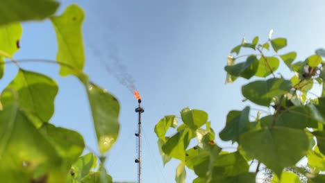 Industrie-Naturkonzept,-Brennende-Gasfackel-Mit-üppigen-Baumblättern-Im-Vordergrund