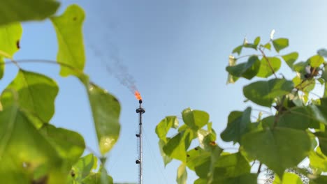concepto de naturaleza de la industria, bengala de gas ardiente con hojas de árboles exuberantes en primer plano