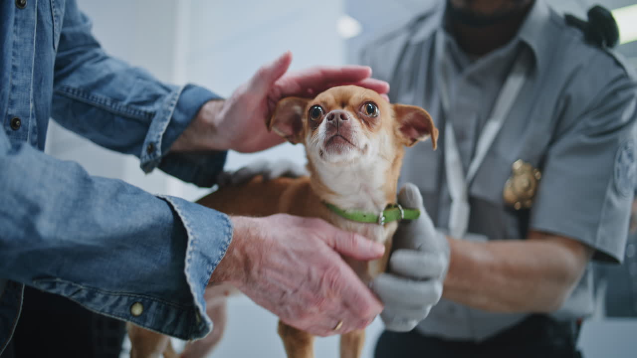 Airport Pet Security Check