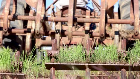 Traktor-Erschüttert-Das-Pflügen-Des-Feldes-Cowboy-Startet-Den-Traktor