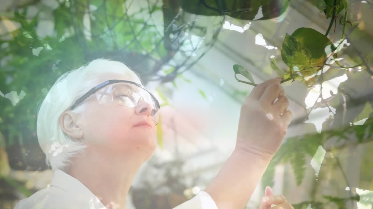 노인 여성 정원 가꾸기 위에 반이는 빛의 애니메이션