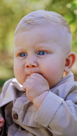 adorable chubby blond baby face with blue eyes. child puts the flower to his mouth and chews it. close up. vertical video.