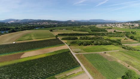 aerial view of road passing through lush green field