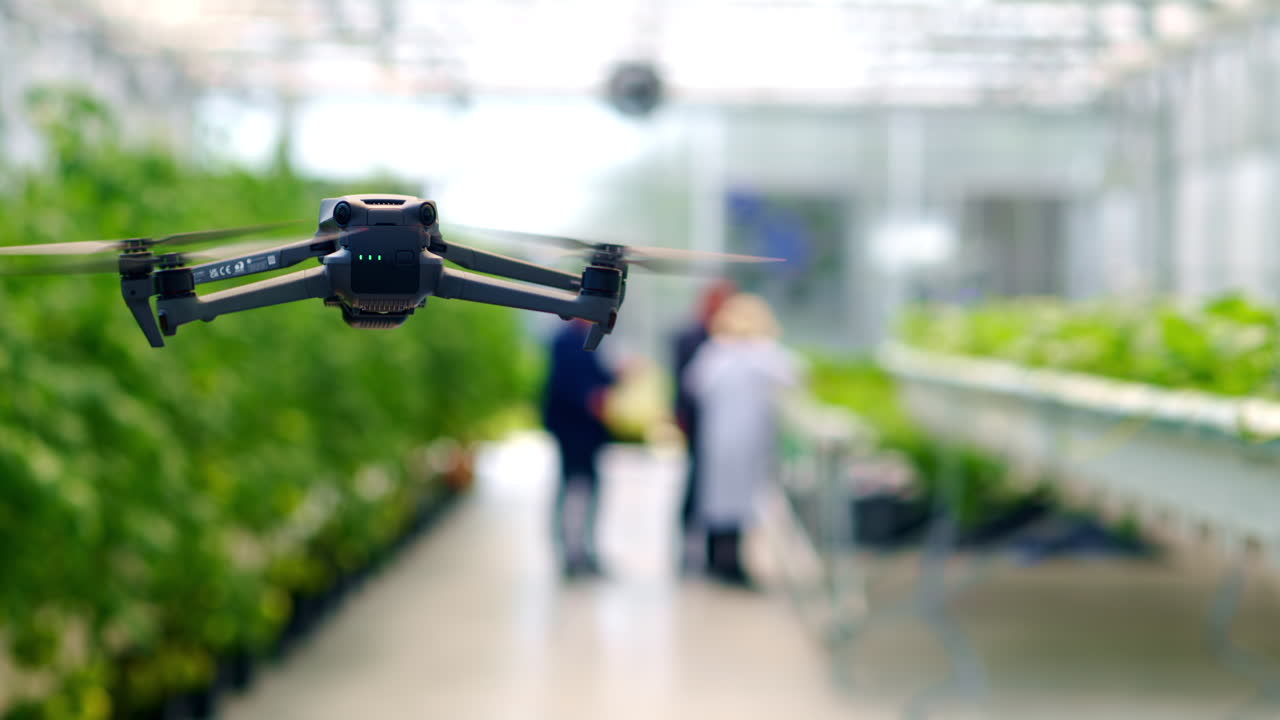 Drone filming through a greenhouse while people are working