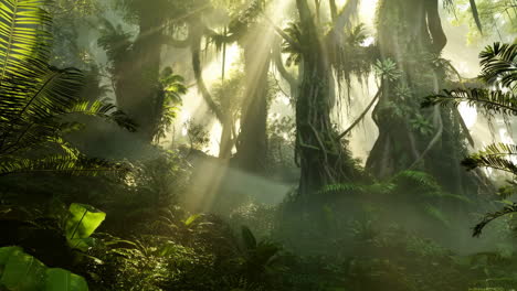 lush jungle forest with sunlight