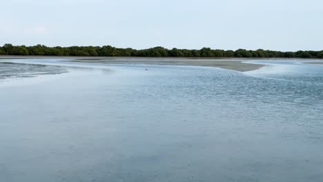 Corriente-De-Marea-Marea-Baja-Marea-Alta-En-La-Playa-Mangroove-Bosque-De-árboles-De-Manglares-En-Qatar-Doha-Golfo-Arábigo-Humedal-Paisaje-Escénico-Fondo-Turismo-Marino-A-Ambiente-Tropical-En-Ciudad-Rural