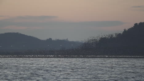 birds migrating from a lake to another in south korea during winter (shoot info: cin2, 1080p,  59.94fps)