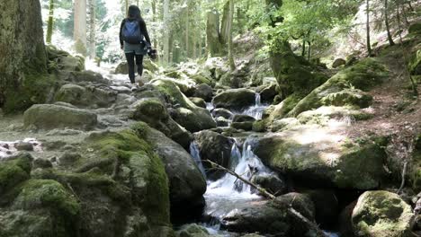 woman hiking on a trail along a stream at the gertelbacher waterfalls in the black forest, germany