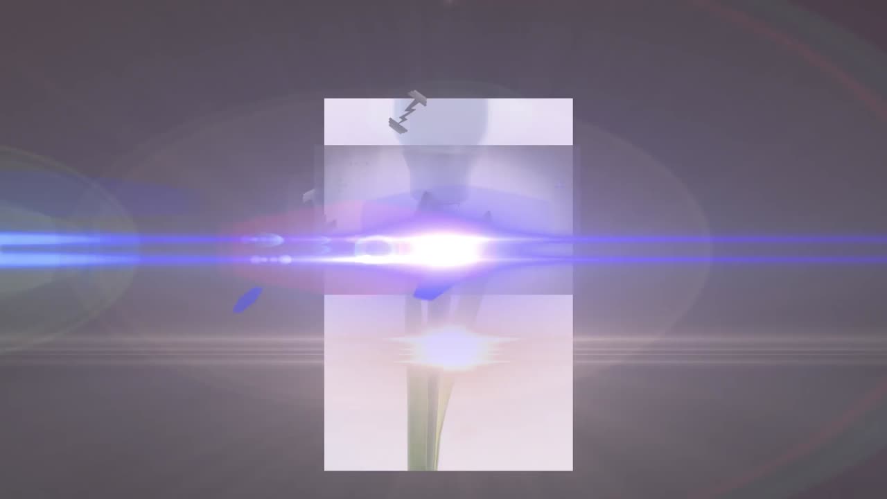 검은 바탕에 색 상자에서 식물과 전구 위의 렌즈 플레어의 애니메이션