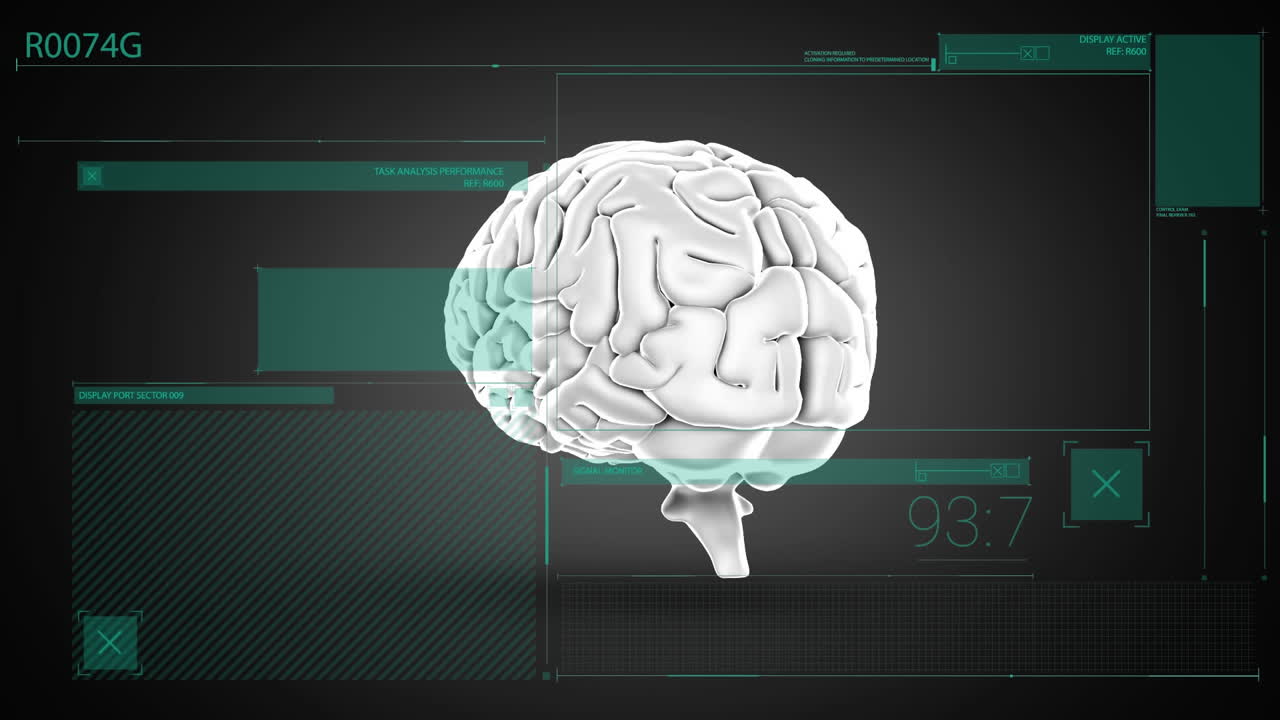 Animation of human brain and data processing