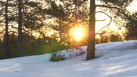 wild snowy off piste slope with sunset, backcountry scene