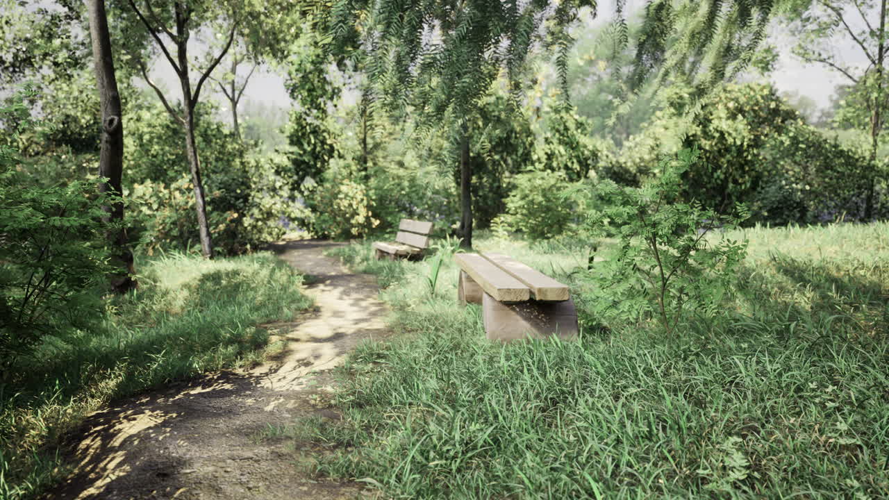 Pathway through a lush forest area with benches and greenery