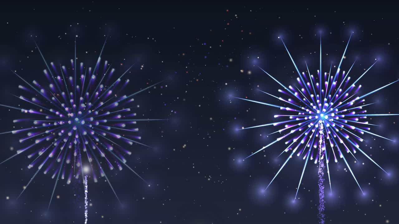 Colorful fireworks exploding in the night sky
