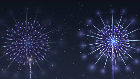 Colorful fireworks exploding in the night sky